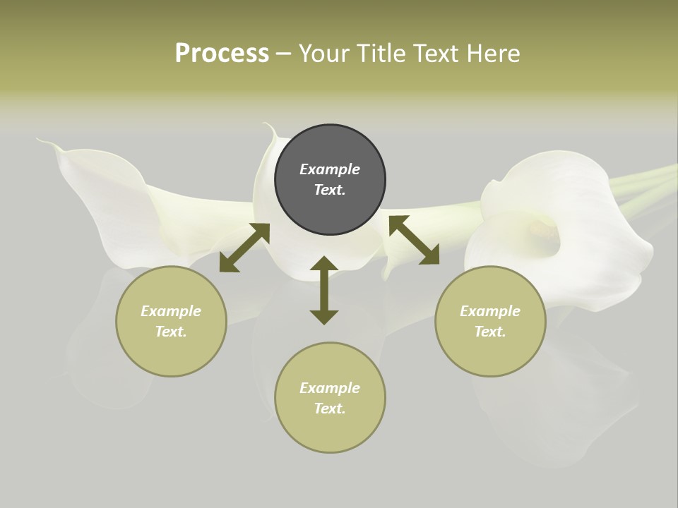 Blossom White Mirroring PowerPoint Template