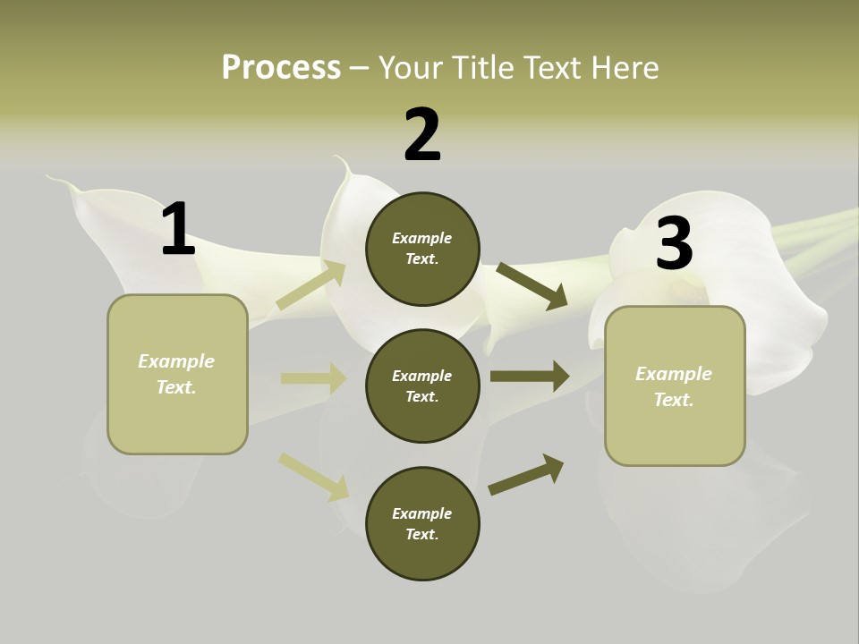 Blossom White Mirroring PowerPoint Template