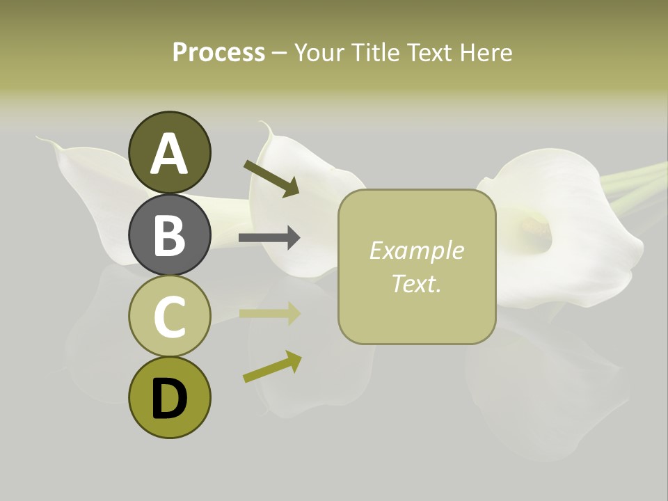 Blossom White Mirroring PowerPoint Template