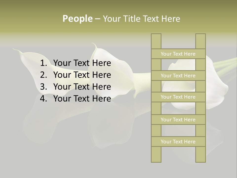 Blossom White Mirroring PowerPoint Template