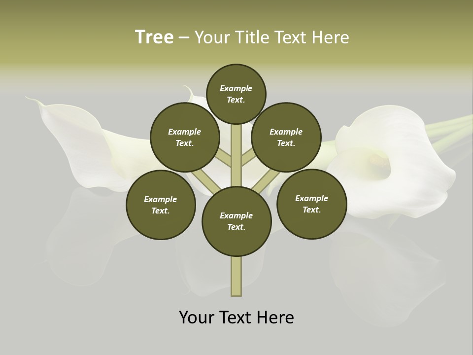 Blossom White Mirroring PowerPoint Template