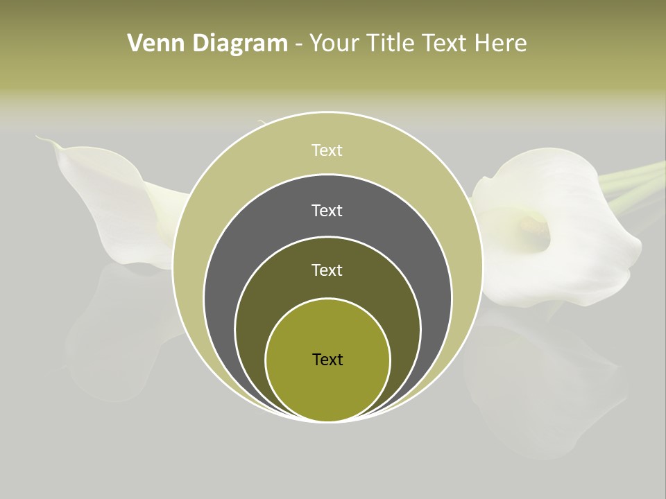 Blossom White Mirroring PowerPoint Template