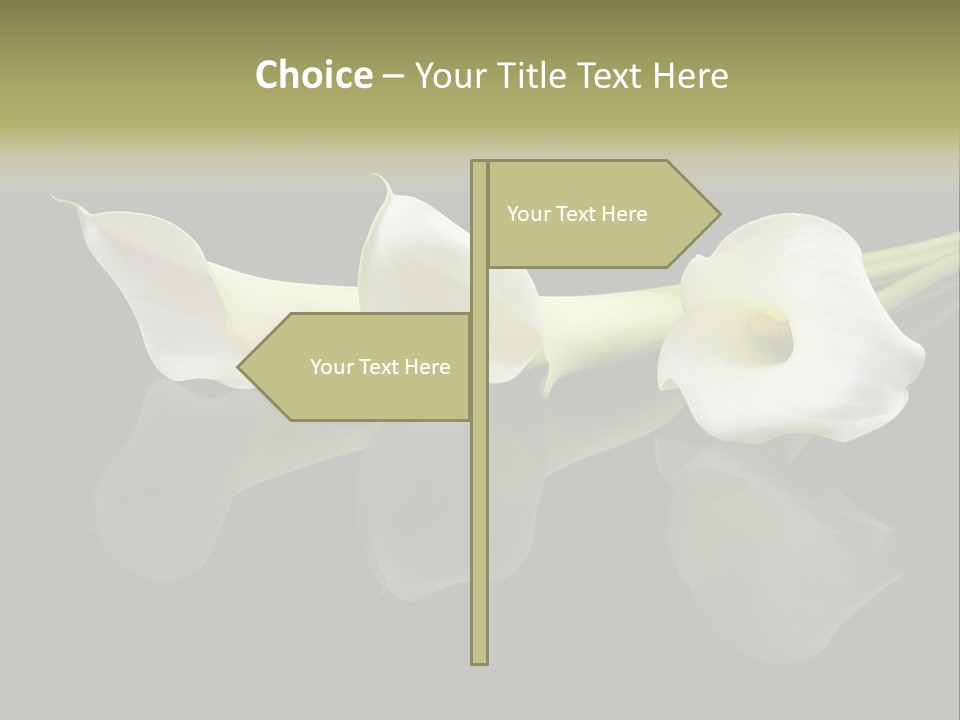 Blossom White Mirroring PowerPoint Template
