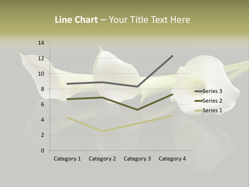 Blossom White Mirroring PowerPoint Template