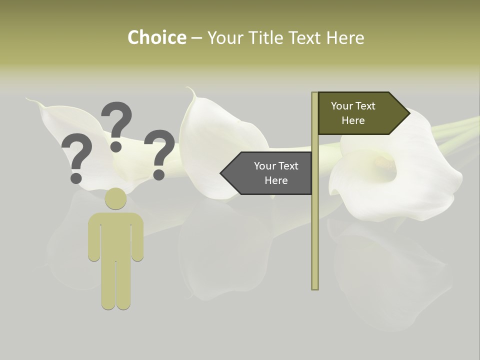 Blossom White Mirroring PowerPoint Template