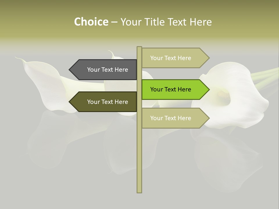 Blossom White Mirroring PowerPoint Template