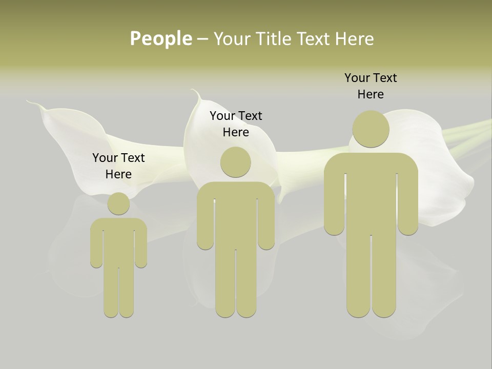 Blossom White Mirroring PowerPoint Template