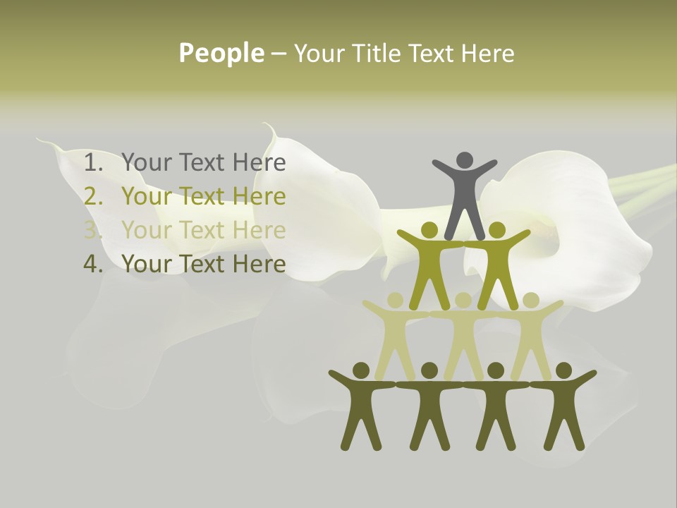 Blossom White Mirroring PowerPoint Template