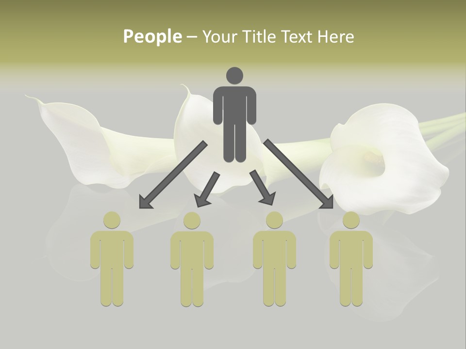 Blossom White Mirroring PowerPoint Template