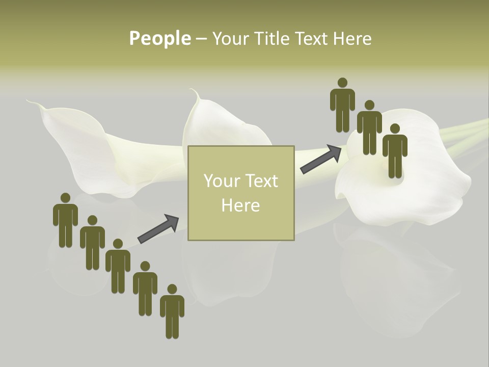 Blossom White Mirroring PowerPoint Template