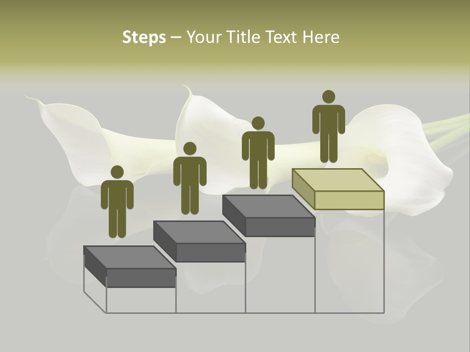 Blossom White Mirroring PowerPoint Template