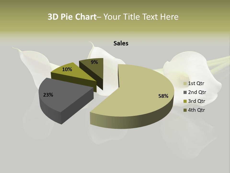 Blossom White Mirroring PowerPoint Template