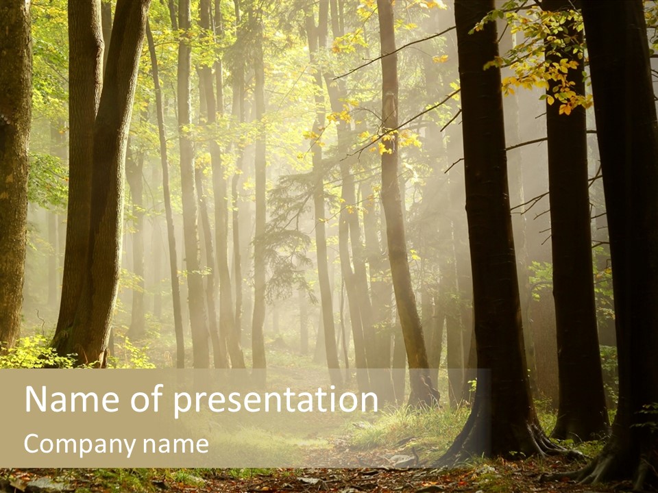 Sunbeam Ray Track PowerPoint Template