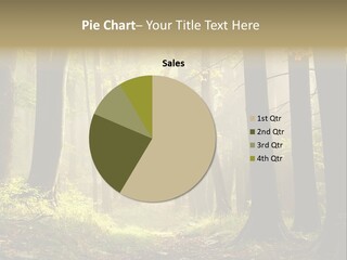 Sunbeam Ray Track PowerPoint Template