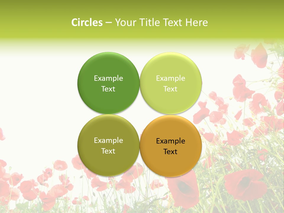 Colour Rural Decorative PowerPoint Template