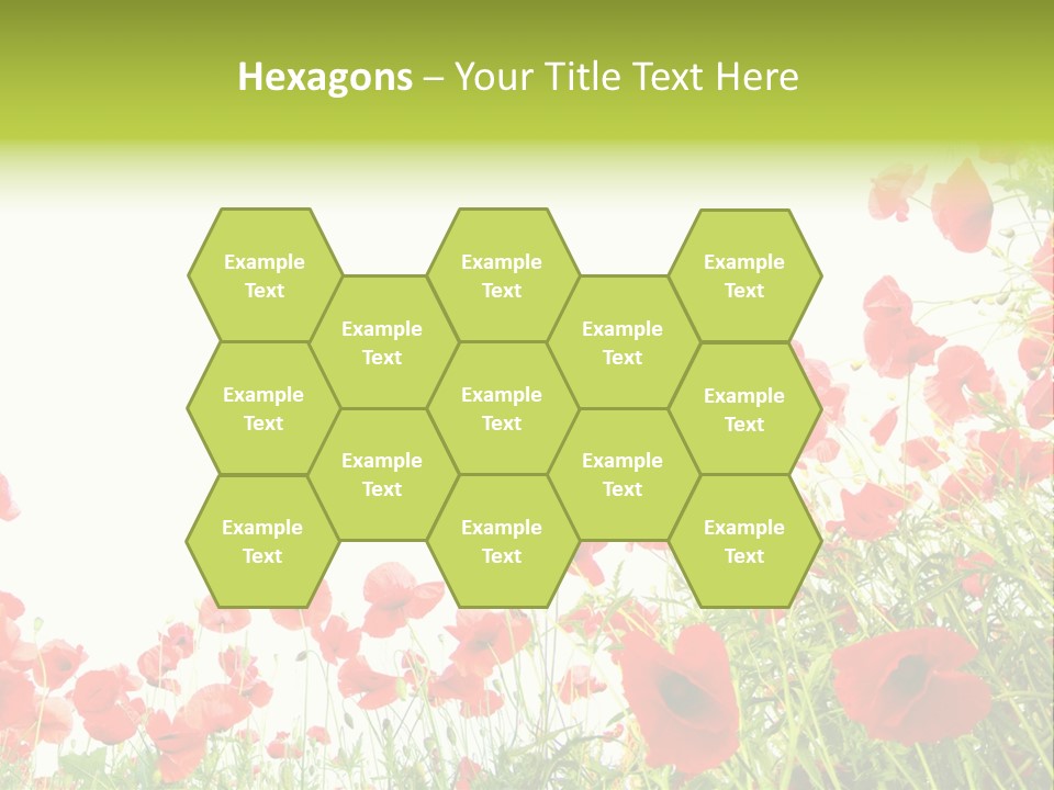 Colour Rural Decorative PowerPoint Template