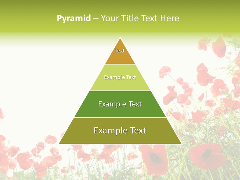 Colour Rural Decorative PowerPoint Template