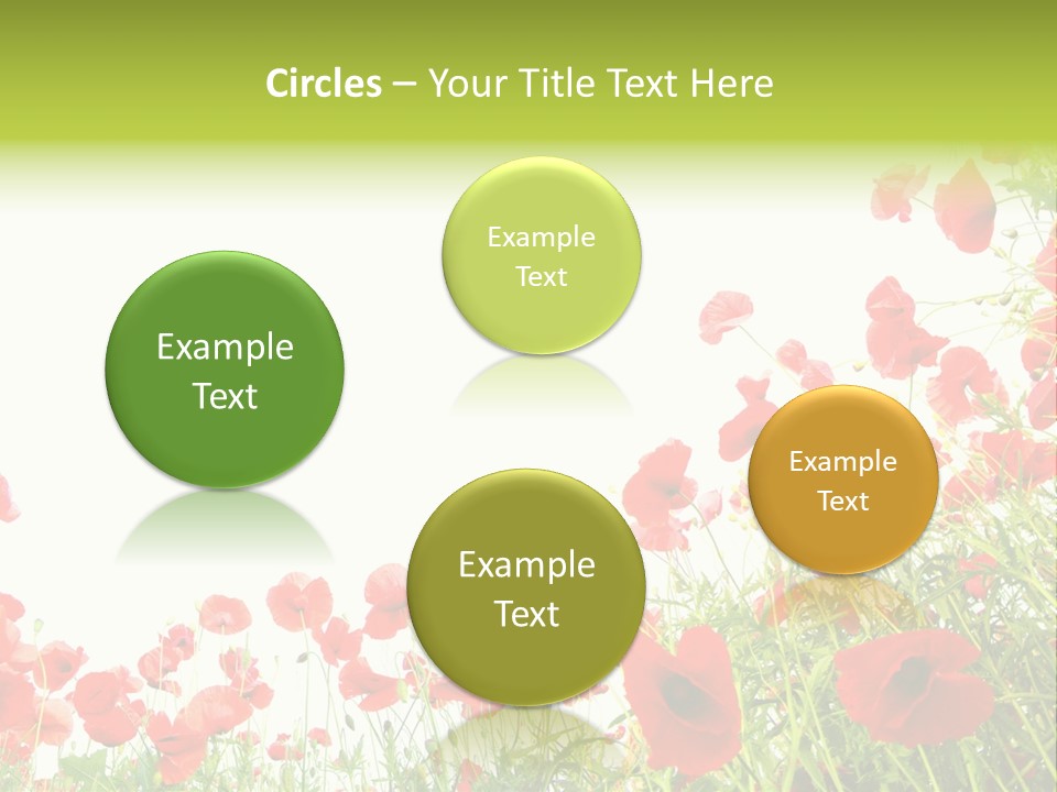 Colour Rural Decorative PowerPoint Template