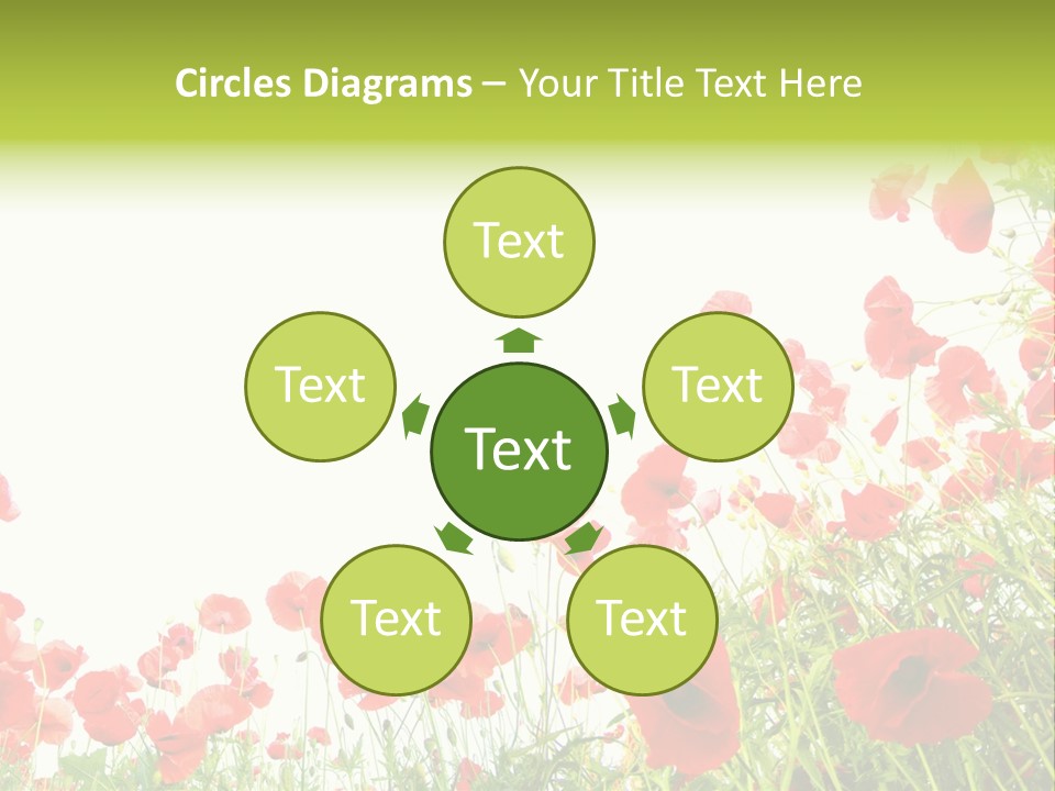 Colour Rural Decorative PowerPoint Template