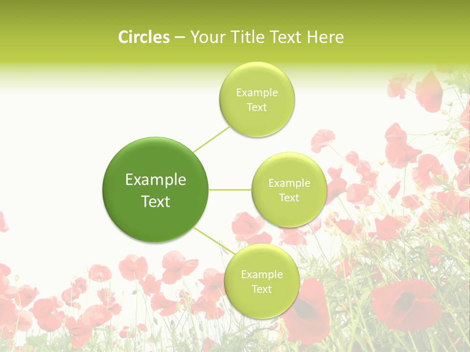 Colour Rural Decorative PowerPoint Template