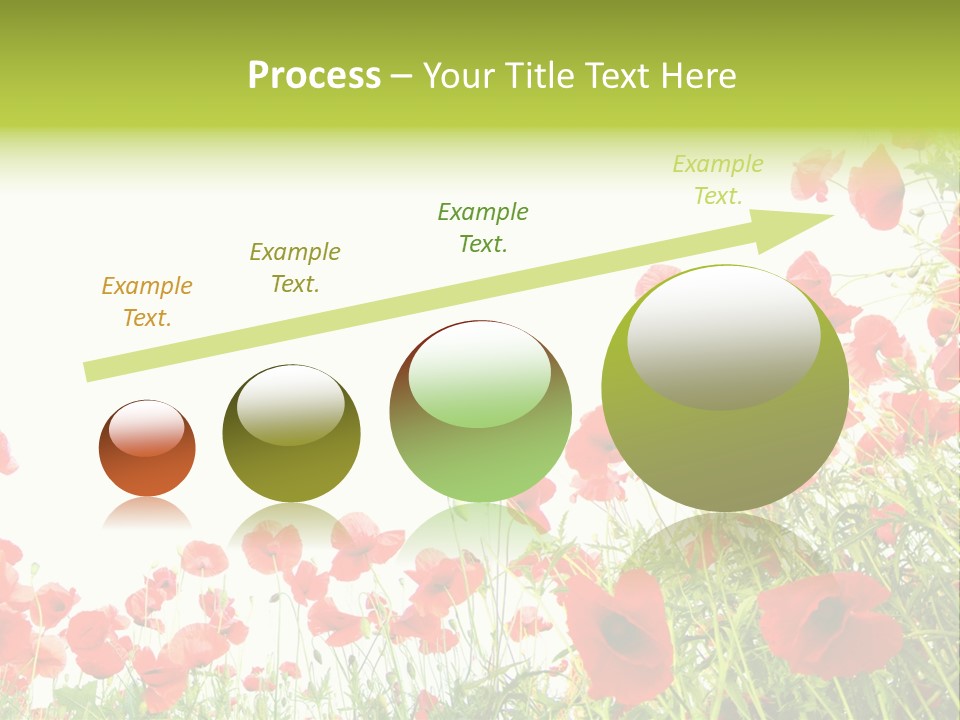 Colour Rural Decorative PowerPoint Template