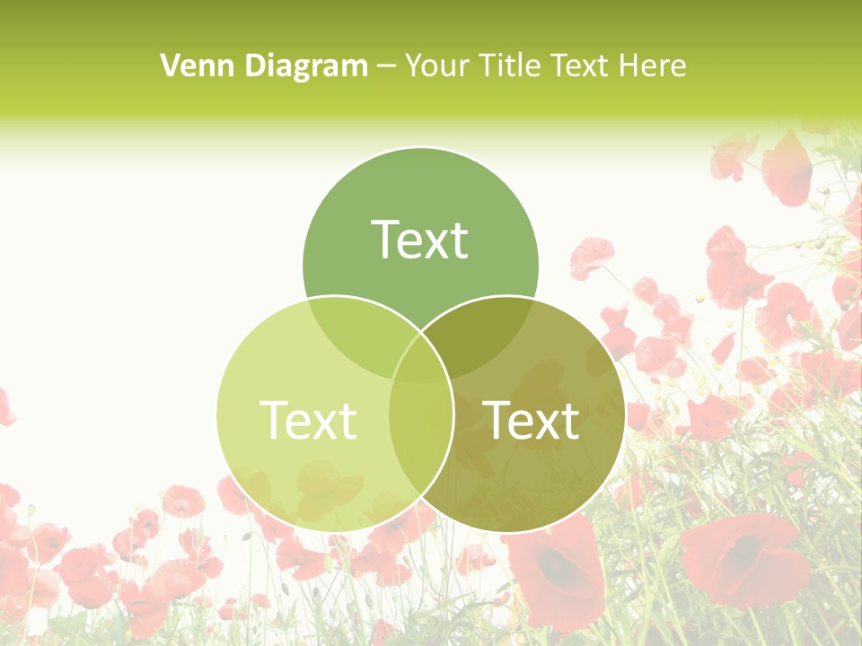 Colour Rural Decorative PowerPoint Template