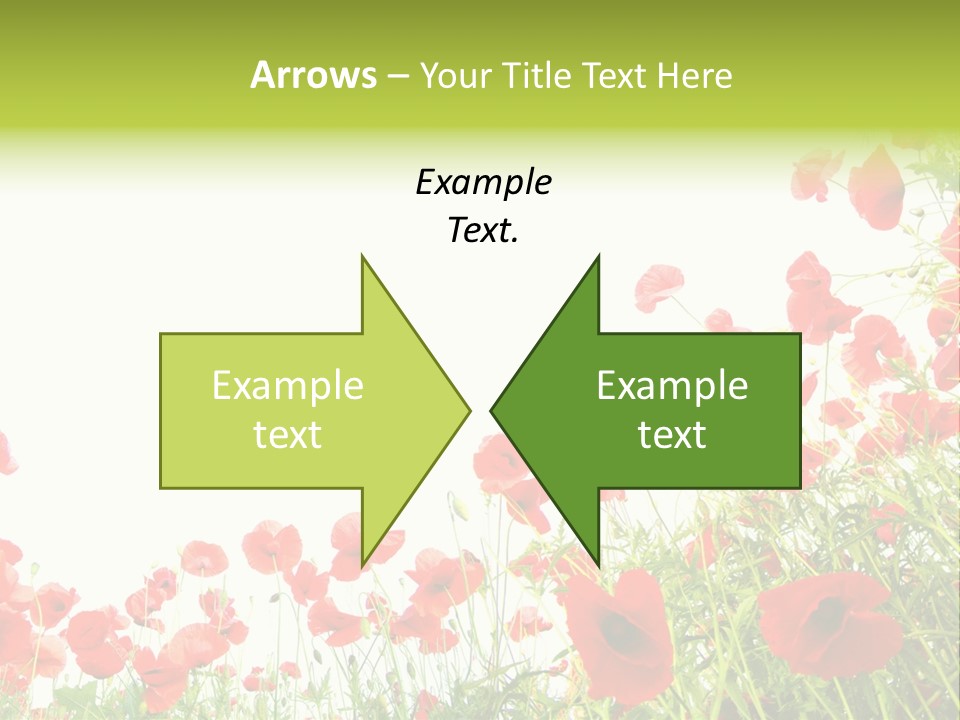 Colour Rural Decorative PowerPoint Template