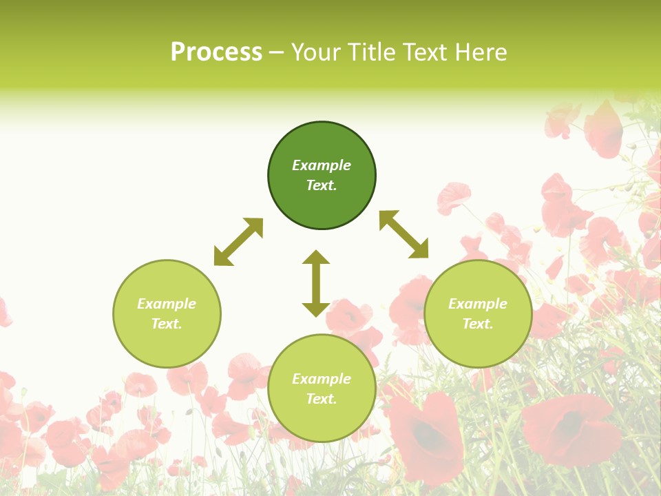 Colour Rural Decorative PowerPoint Template