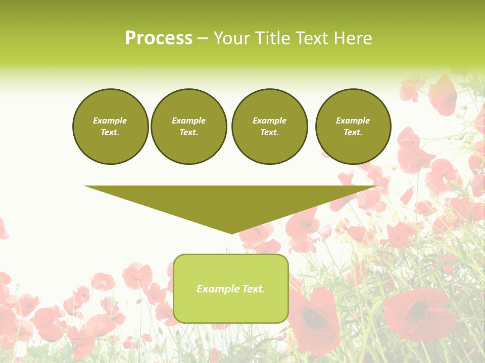 Colour Rural Decorative PowerPoint Template