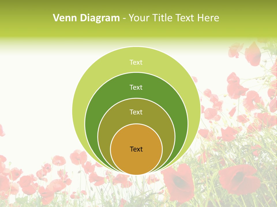 Colour Rural Decorative PowerPoint Template