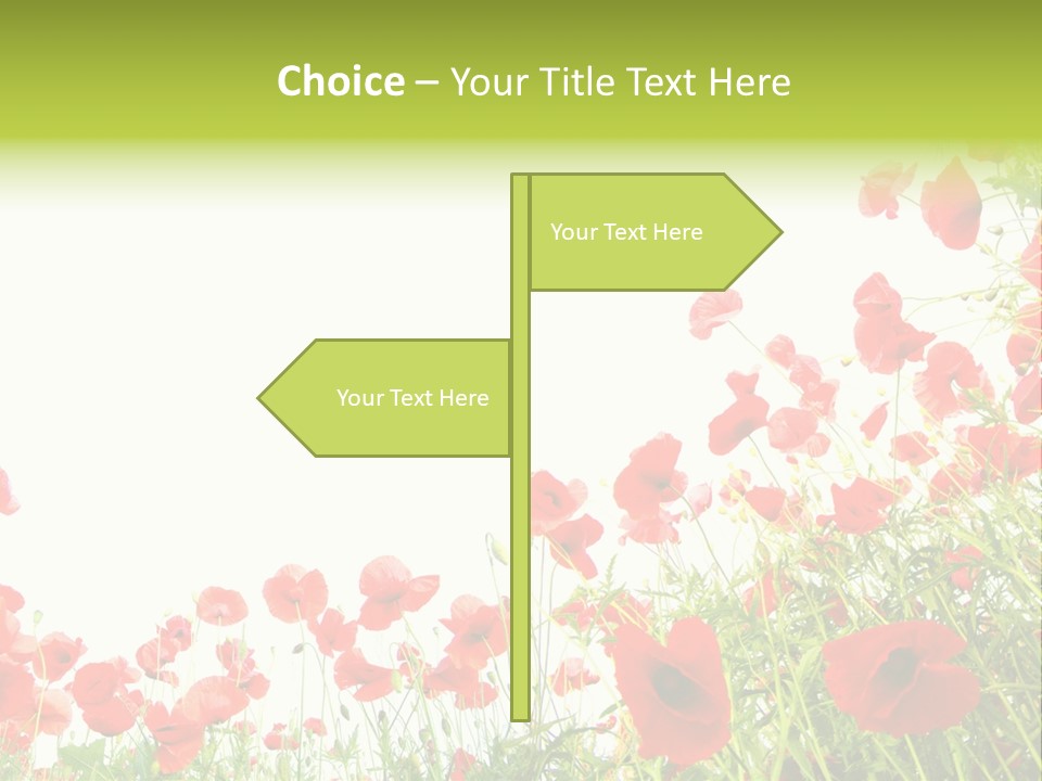 Colour Rural Decorative PowerPoint Template