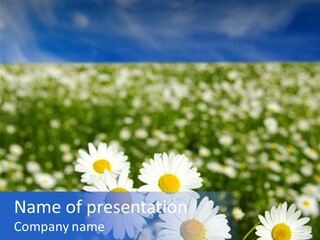 Field Floral Pasture PowerPoint Template