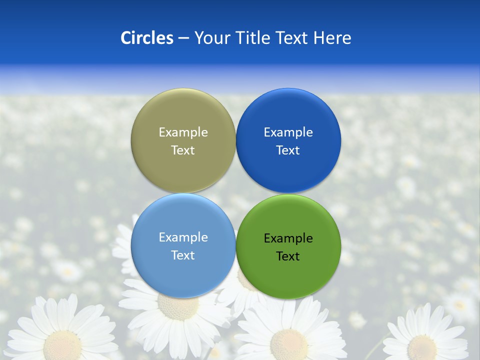 Field Floral Pasture PowerPoint Template