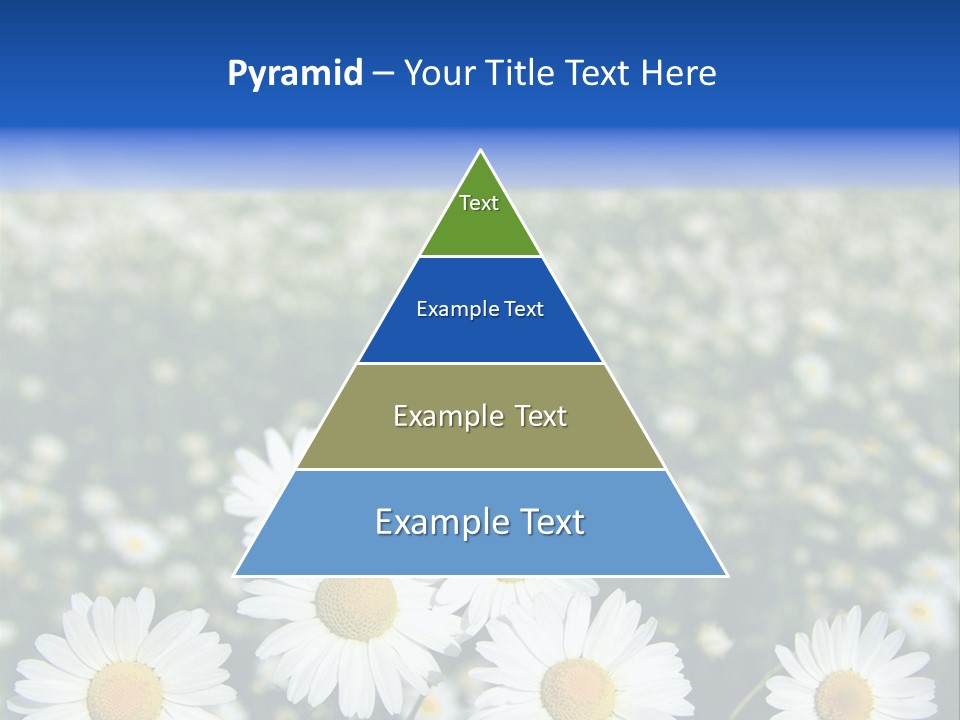 Field Floral Pasture PowerPoint Template
