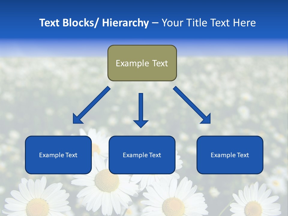 Field Floral Pasture PowerPoint Template