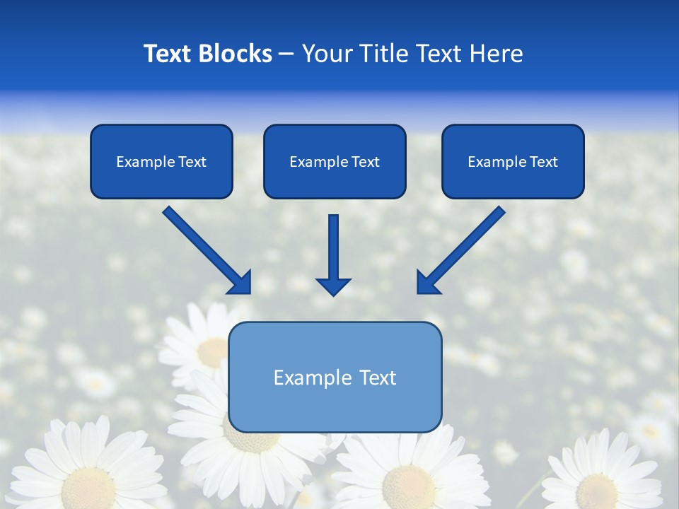 Field Floral Pasture PowerPoint Template