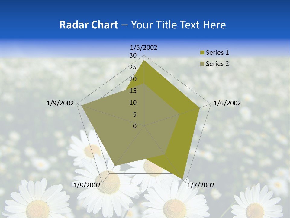 Field Floral Pasture PowerPoint Template