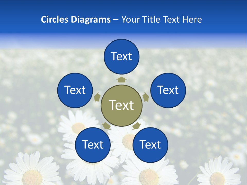 Field Floral Pasture PowerPoint Template