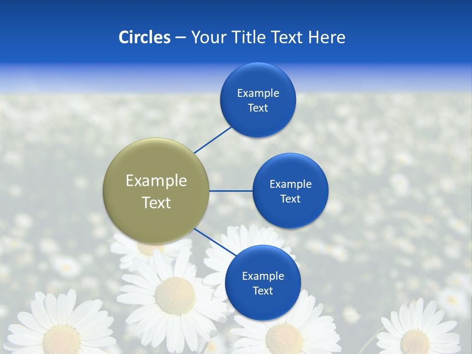 Field Floral Pasture PowerPoint Template