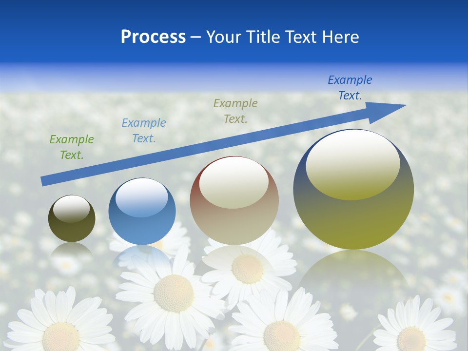 Field Floral Pasture PowerPoint Template