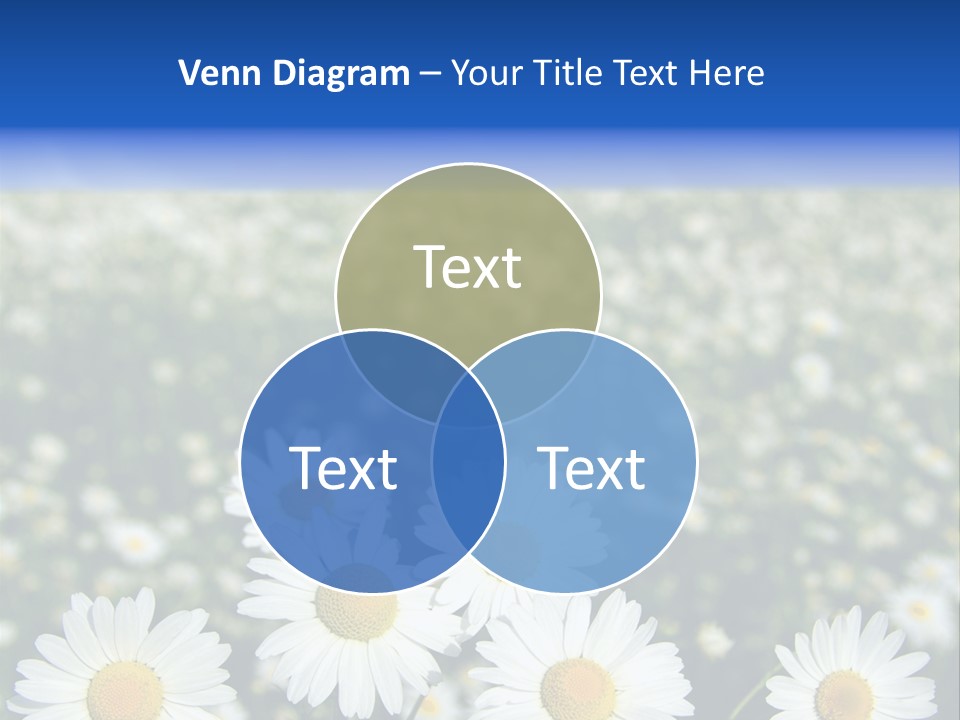 Field Floral Pasture PowerPoint Template