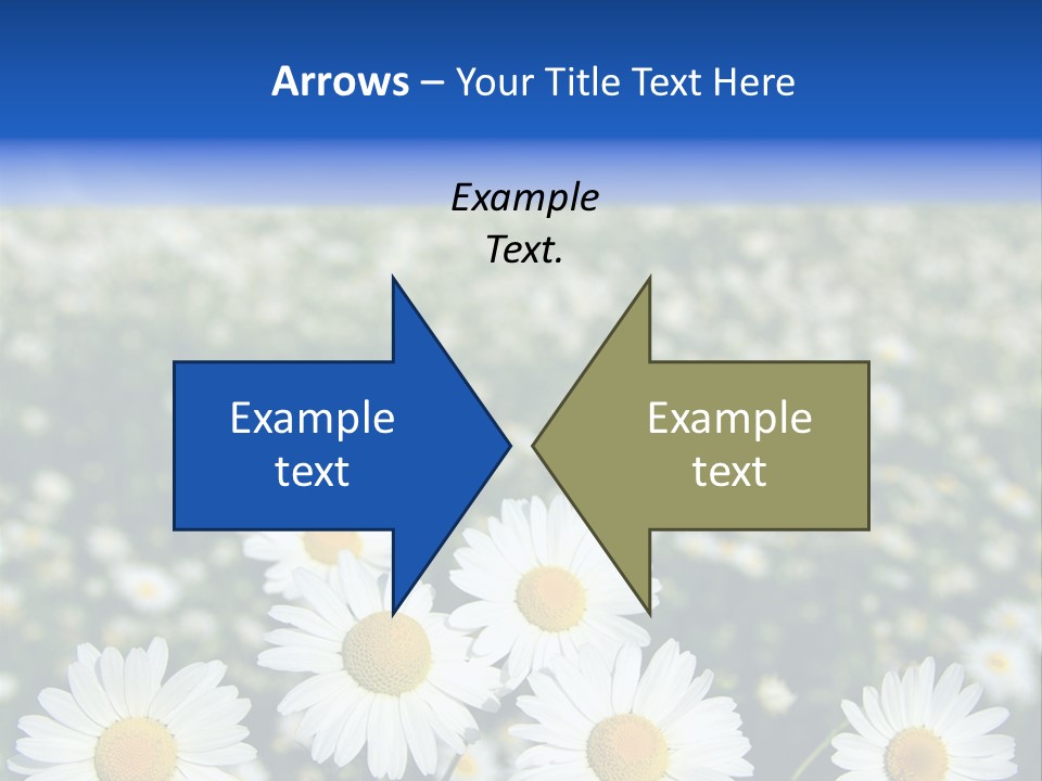 Field Floral Pasture PowerPoint Template
