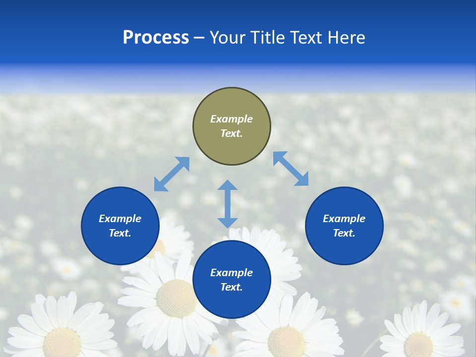 Field Floral Pasture PowerPoint Template
