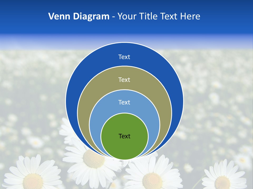 Field Floral Pasture PowerPoint Template