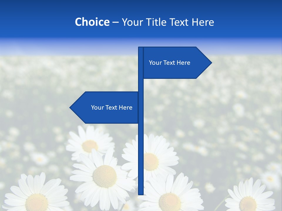 Field Floral Pasture PowerPoint Template