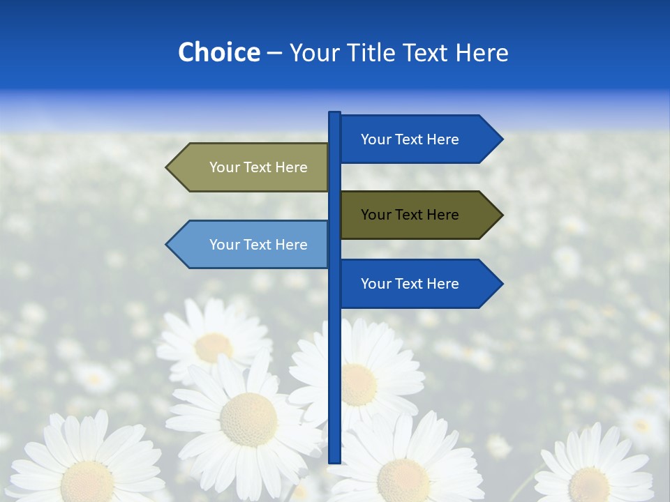 Field Floral Pasture PowerPoint Template