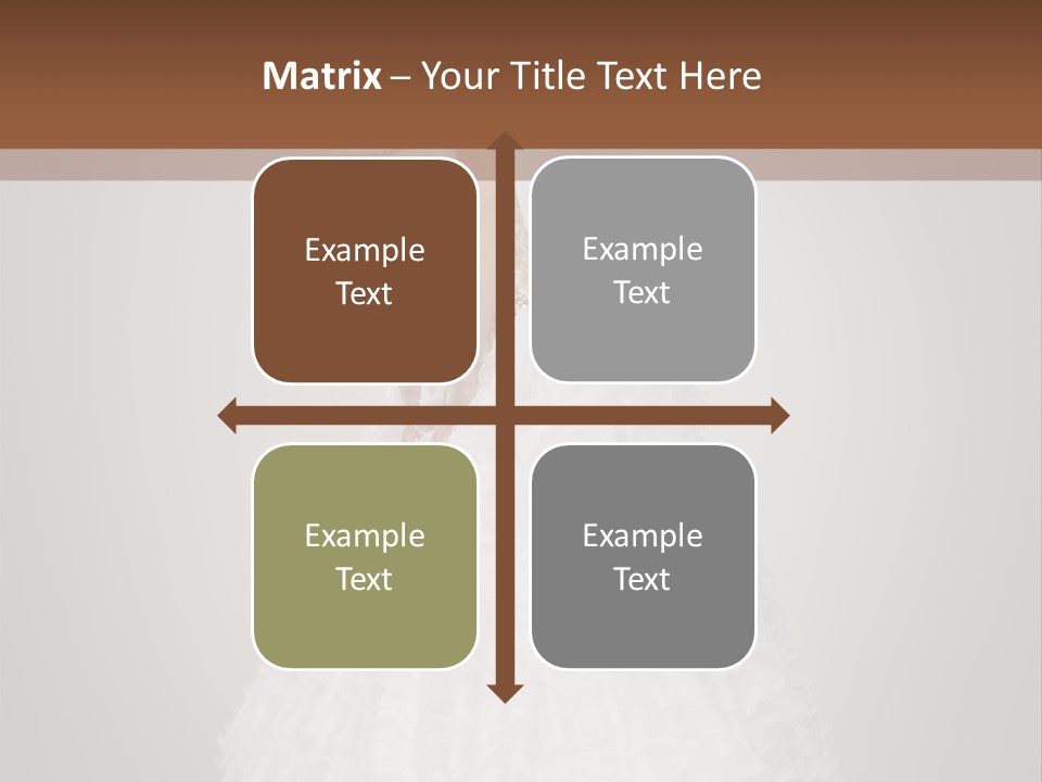 Beautiful Fashion Modern PowerPoint Template