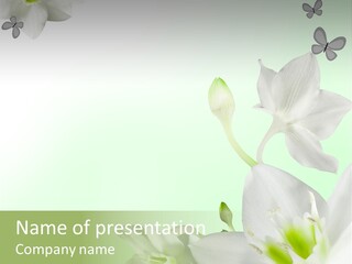 Seasonal Gentle Petal PowerPoint Template