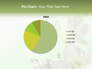 Seasonal Gentle Petal PowerPoint Template