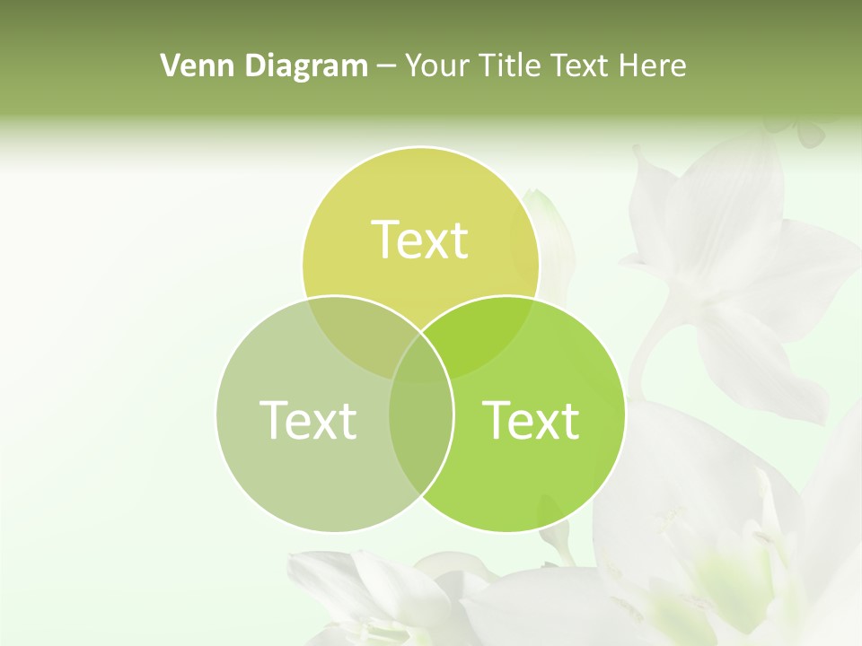 Seasonal Gentle Petal PowerPoint Template